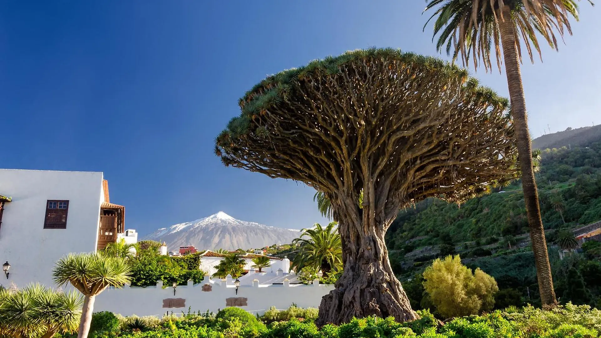 Eden Rentals Rincon De Miramar Ελ Μέντανο Διαμέρισμα
